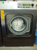 Commercial Washing Machine Miele WS 5101 EL